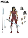 TMNT KARAI: CITY AT WAR (MIRAGE COMICS) 7" SCALE ACTION FIGURE - Front