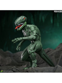 TMNT DAIMYO ORKAI &amp; RAPTOR (MIRAGE COMICS) - 7" SCALE ACTION FIGURES 2 PACK