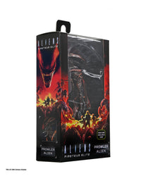 ALIENS FIRETEAM ELITE PROWLER 7" ACTION FIGURE